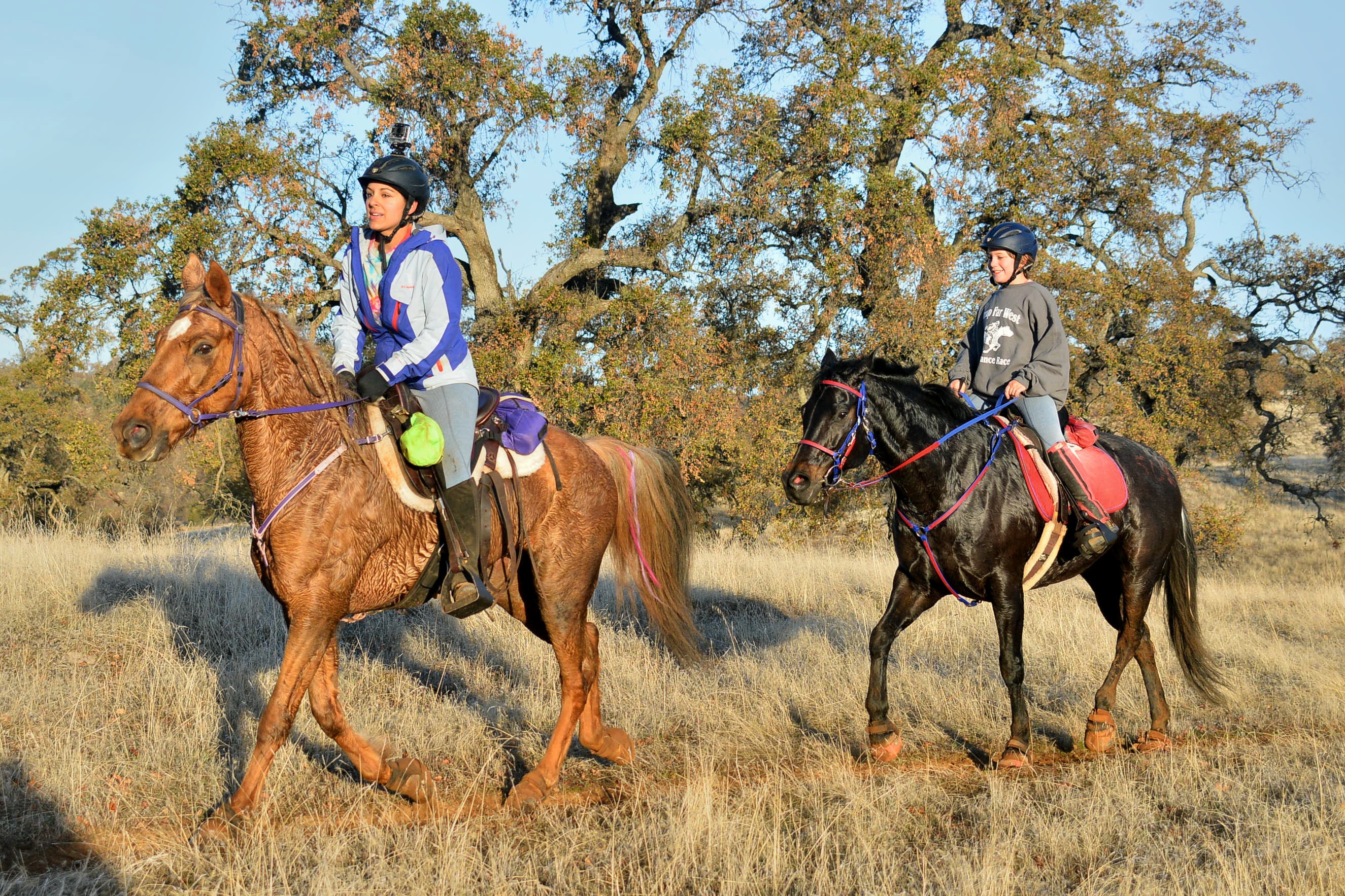 Our Endurance Photos! Endurance Riding